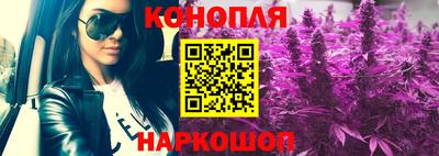 ешки Кудрово