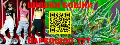 крисы Лесной